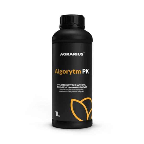 AlgoRytm